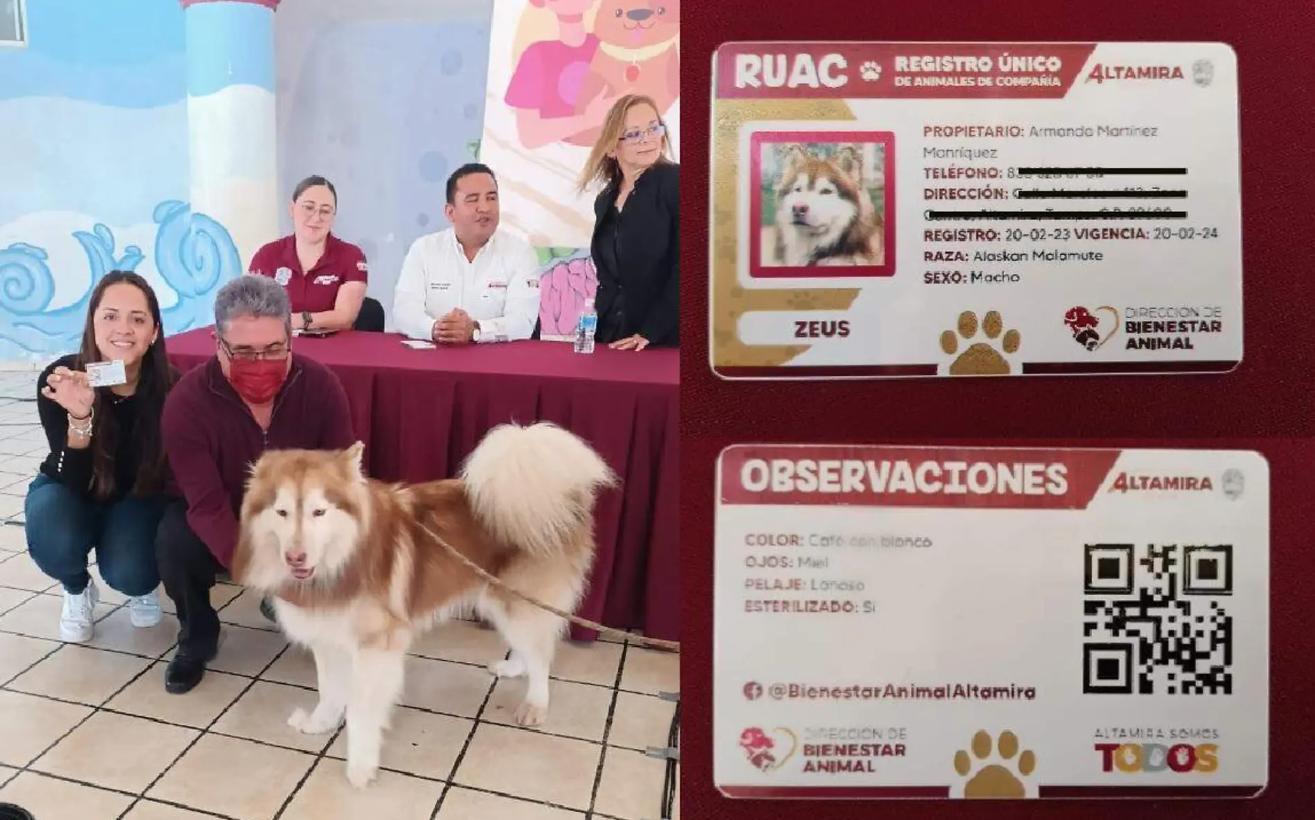 Las credenciales para perros y gatos en Altamira comenzarán a ser expedidas a finales de febrero Miguel Díaz